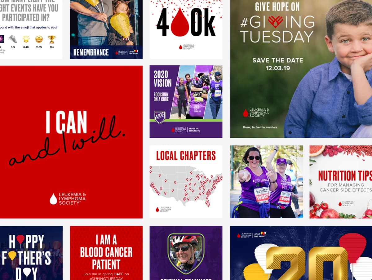 LLS Case Study Image