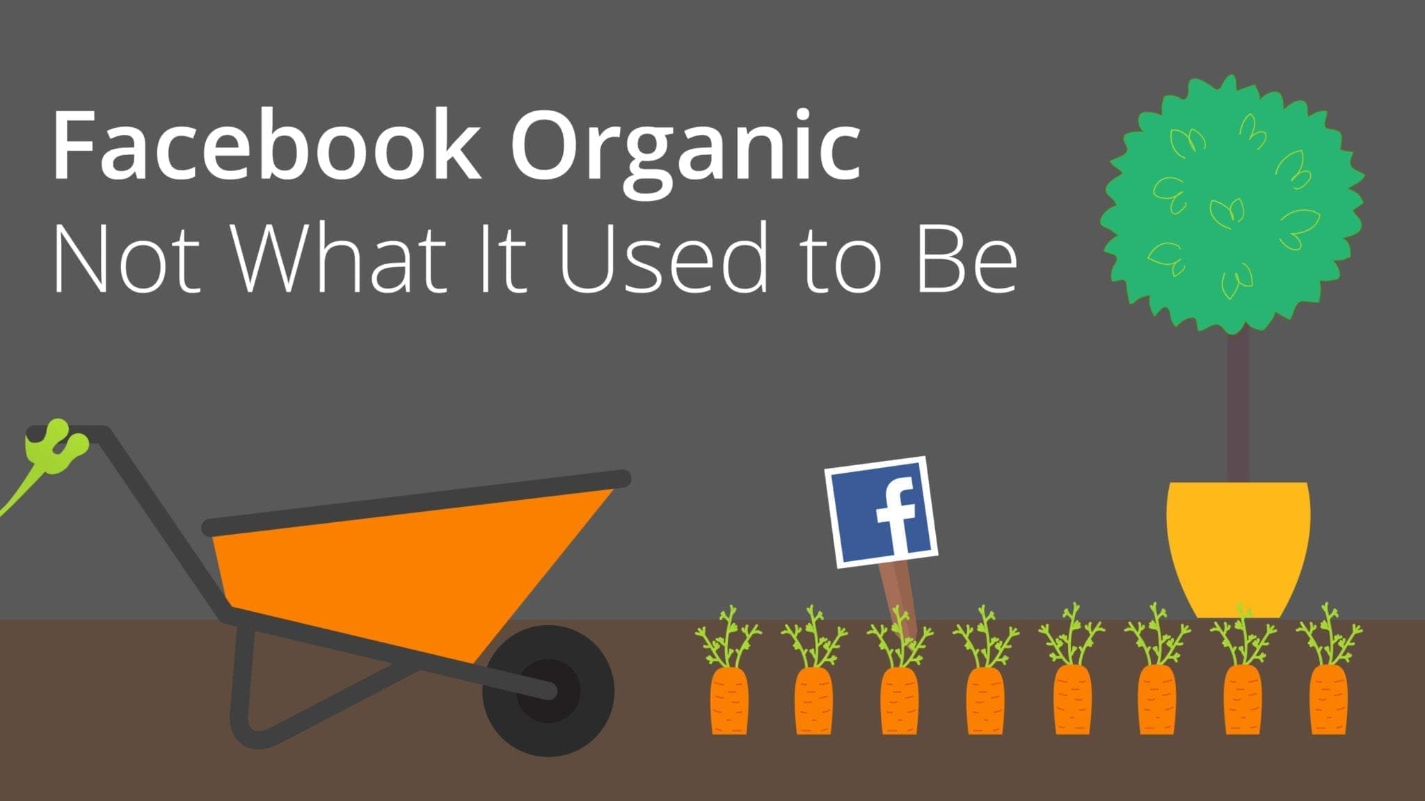 Facebook organic