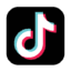 TikTok Icon