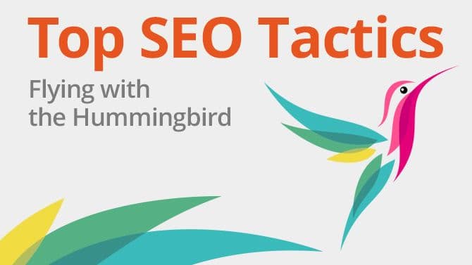 SEO Tactics: Flying with the Hummingbird