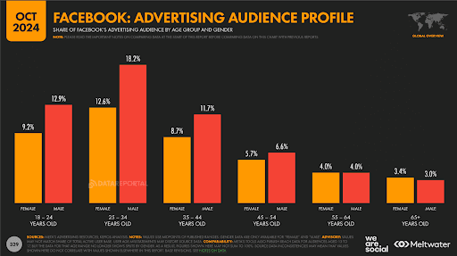 Facebook advertising audience profile statistics Oct 2024