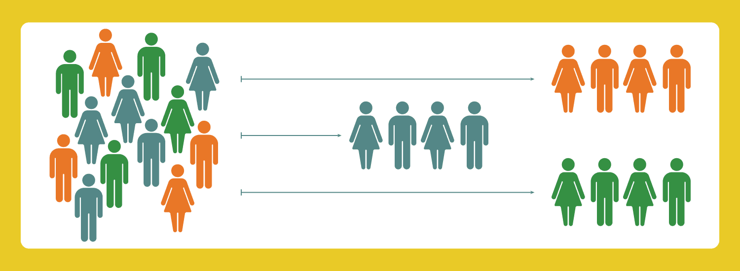 Audience Segmentation