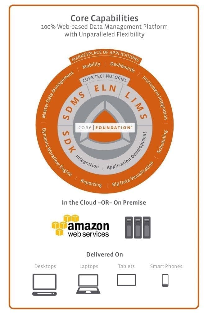 Core Capabilities Infographic