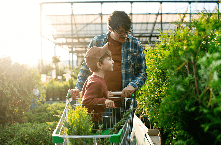 Father and son picking out trees for garden