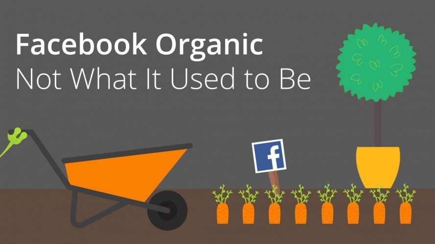 Facebook organic