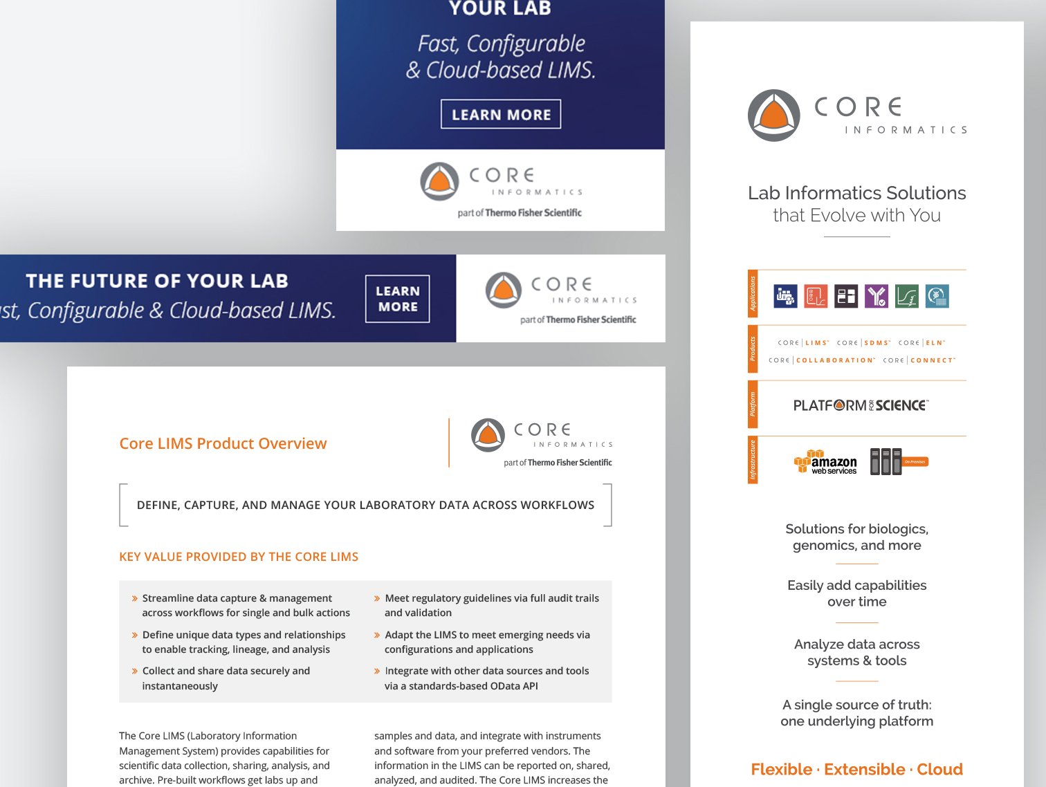 Core Informatics Web Design