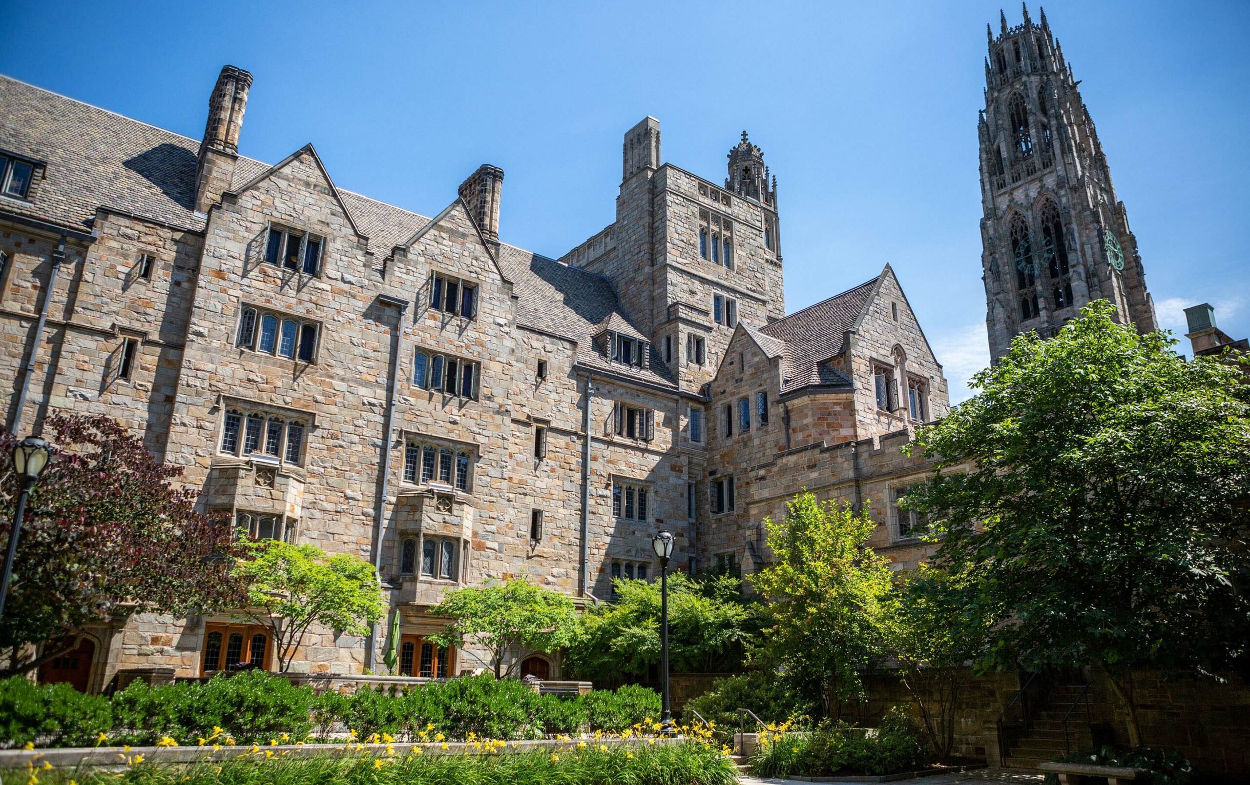 photography for Yale University