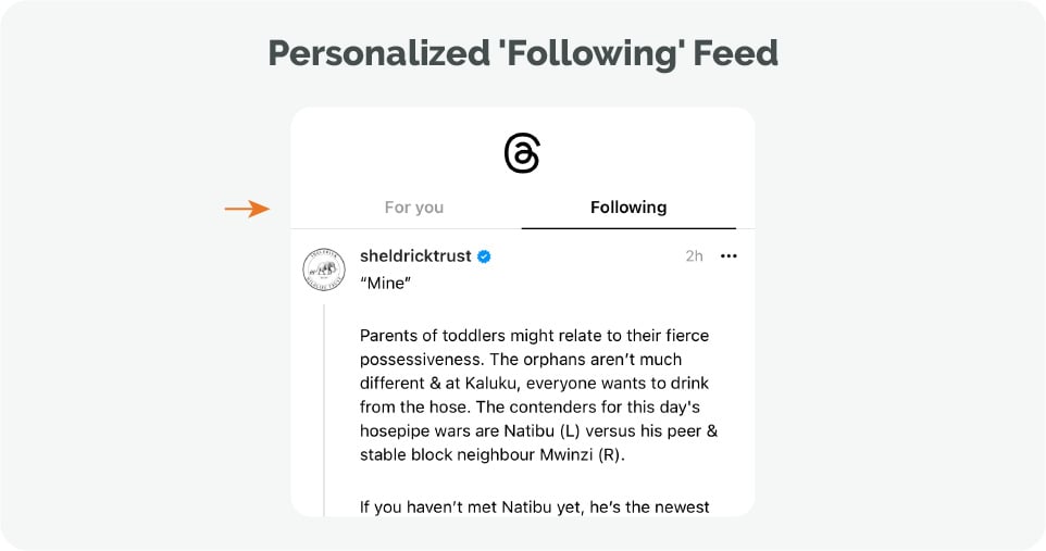 Threads personalized following feed