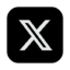 X Icon